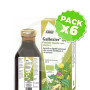 Pack 6x Gallexier Jarabe 250Ml. Salus