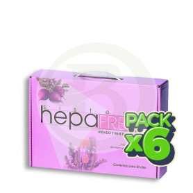 Pack 6x Sistema Hepa Fresh Salus