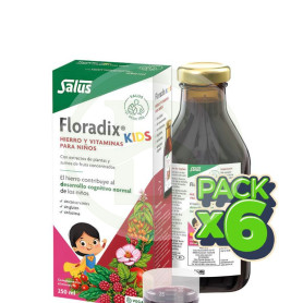 Pack 6x Floradix Kids 250 Ml Salus