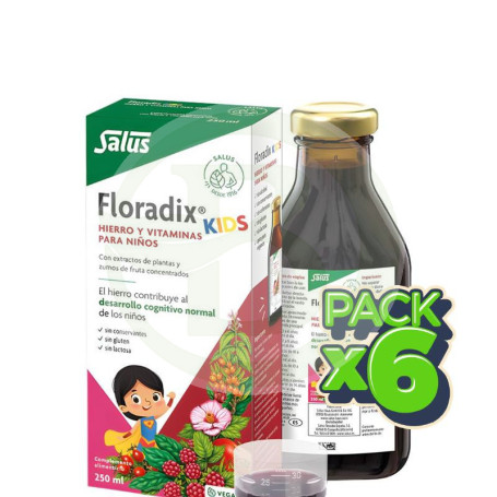 Pack 6x Floradix Kids 250 Ml Salus