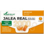 Jalea Real 2000 con Probióticos 20 Viales Soria Natural