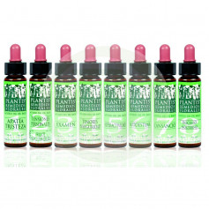 Remedio 6 Autoestima 10Ml. Plantis