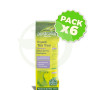 Pack 6x Champú con Árbol de Té Evicro