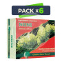 Pack 6x Noni Golden Green 60 Cápsulas
