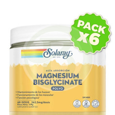 Pack 6x Magnesium Bisglycinate Polvo 179G (68 Dosis) Solaray