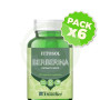 Pack 6x Fitosol Berberina 60 Capsulas Ynsadiet