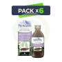 Pack 6x Protecsapin Jarabe Fumadores 250Ml Natysal
