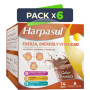 Pack 6x Batido Fuerza Energía y Vitalidad Chocolate 14 Sobres Natysal
