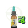 Pack 6x Fórmula 3 Intensidad 20Ml. Marnys