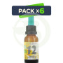 Pack 6x Fórmula 12 Deseo 20Ml. Marnys