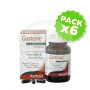 Pack 6x Gastone (Carbón Puro Activado) Health Aid