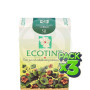 Pack 3x Ecotint Castaño Claro Cobrizo 5R Noefar