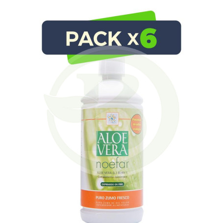 Pack 6x Aloe Vera 1Lt. Noefar