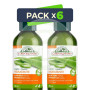 Pack 6x Champú Hidratante 300+300Ml Corpore Sano