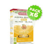 Pack 6x Jalea Real Miel + Polen Bio 1500Mg 20 Ampollas Superdiet