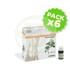 Pack 6x Plantaggio HB 20 Viales Derbos