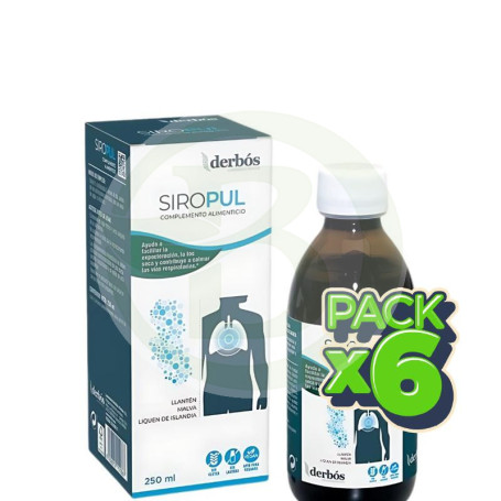 Pack 6x Siropul 250Ml. Derbos