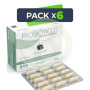 Pack 6x Derboslim 30 Cápsulas Derbós