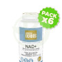 Pack 6x Nad+ 60 Cápsulas Vegetales Derbos