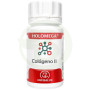 Holomega Colágeno II 50 cápsulas Equisalud