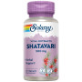 Shatavari 500Mg 60 Cápsulas Vegetales Solaray