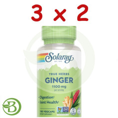 Pack 3x2 Raíz De Jengibre 550Mg 100 Cápsulas Vegetales Solaray