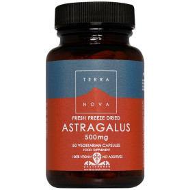 Astrágalo 500Mg 50 Cápsulas Terranova