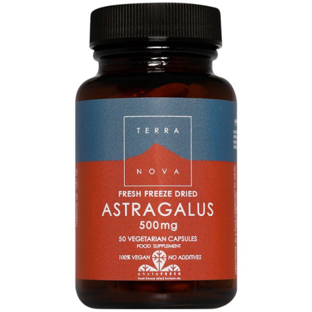 Astrágalo 500Mg 50 Cápsulas Terranova