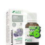 Pack 6x Aceite Esencial De Lavanda 10Ml Soria Natural