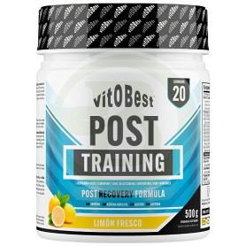 Post Training Sabor Limón Fresco 500G Vit.o.best