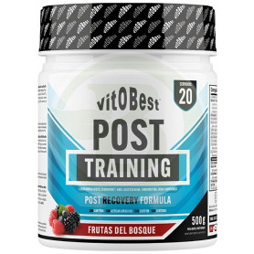Post Training Sabor Frutas del Bosque 500G Vit.o.best