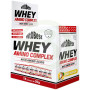 Whey Amino Complex Sabor Piña Colada 15 Sobres Vit.o.best
