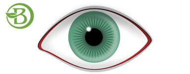 Sistema Ocular