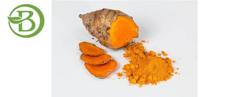 Curcuma