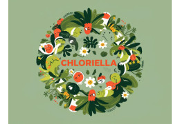 Chlorella: un superalimento para adelgazar