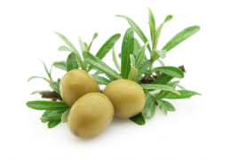 plantas con propiedades antiinflamatorias