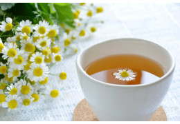 Aprende a depurar tus riñones de forma natural