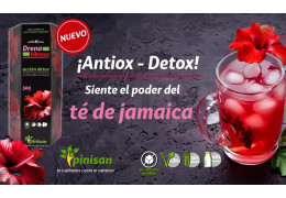FLOR DE HIBISCO: PROPIEDADES, BENEFICIOS Y PREPARACIÓN