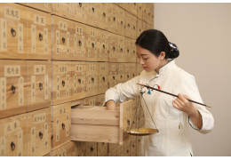 Fitoterapia China: Todo sobre las plantas chinas usadas en MTC