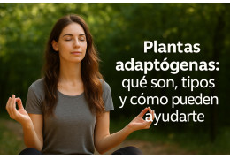 Plantas adaptógenas: qué son, tipos y cómo pueden ayudarte